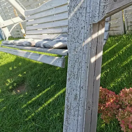 Przystan Jastrzebia Z Alpakami *